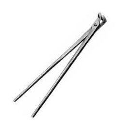Gunthers Tooth Forceps