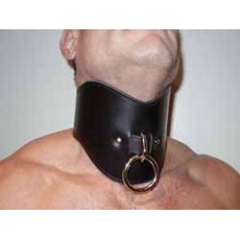 Leather Positioning Collar