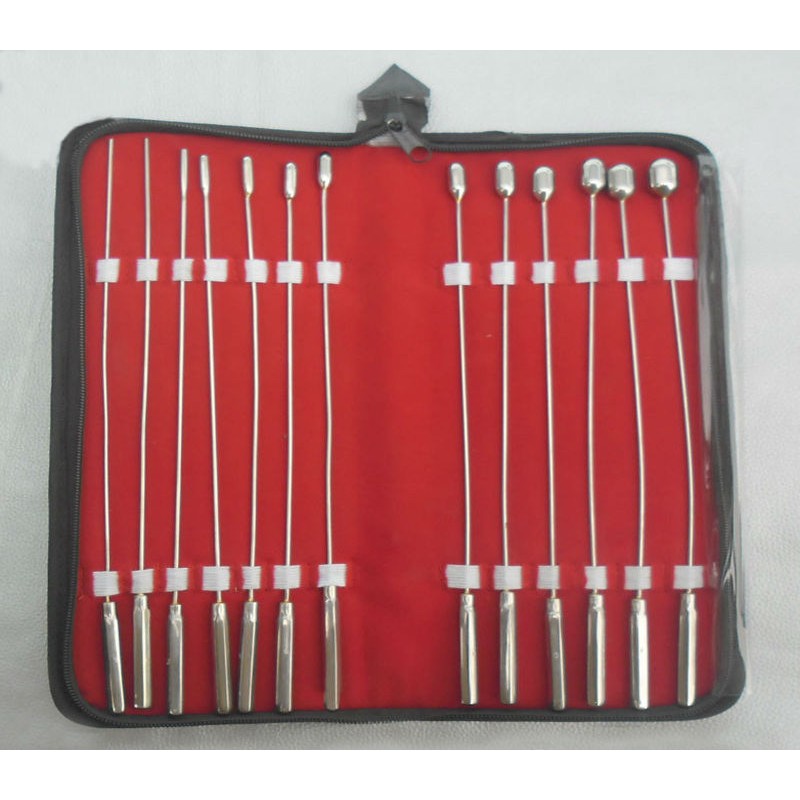 BAKES DILATORS SET OF 13 World Wide Instrument Company