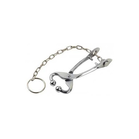 Bull Holder