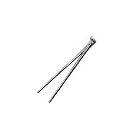 Gunthers Tooth Forceps