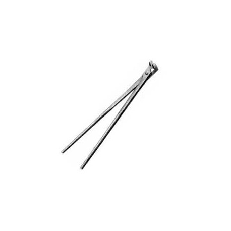 Gunthers Tooth Forceps