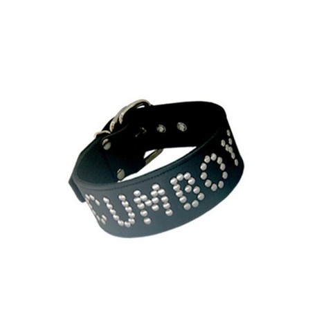 Cumboy Collar