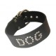 Dog Collar