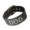 Dog Collar