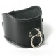 Leather Locking Posture Collar