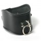 Leather Locking Posture Collar