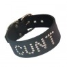 Text Collar