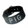 Pig Collar