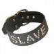 Slave Collar