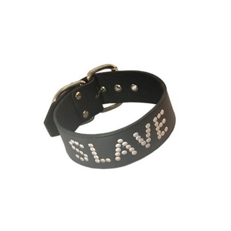 Slave Collar