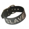 Slave Collar