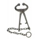 Bull Holder with Chain