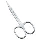 Arrow Point Scissor