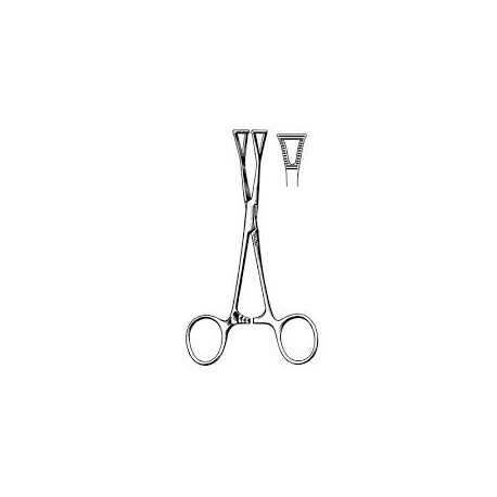 Collin Forceps