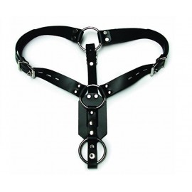 Plug Harness with Cock Ring