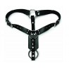 Plug Harness with Cock Ring