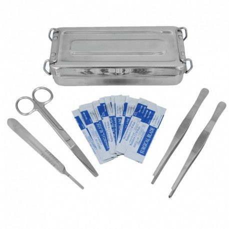 Anatomy Kit 6 Pcs.